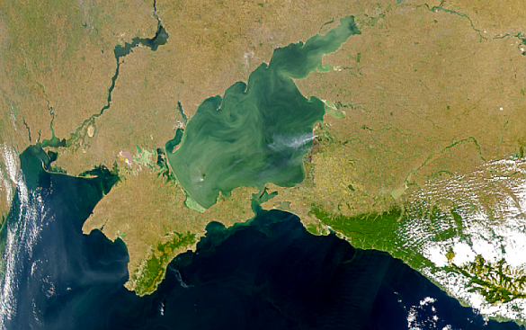 Ученые высмеяли планы украинцев по выкапыванию Азовского моря | Русская весна