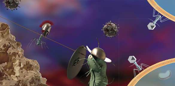 США атакуют «кошмарные бактерии», способные вызвать серьезнейшие эпидемии | Русская весна