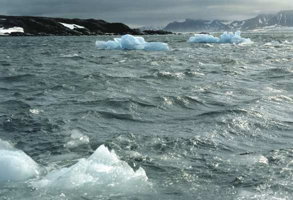 Учёные назвали место климатической катастрофы в России | Русская весна