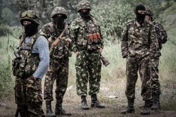 Генпрокуратура Украины обвинила тербатальоны в разбое и грабежах | Русская весна