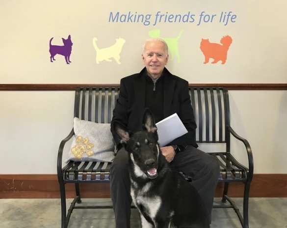 Байден провёл в отпуске 40% своего президентского срока | Русская весна