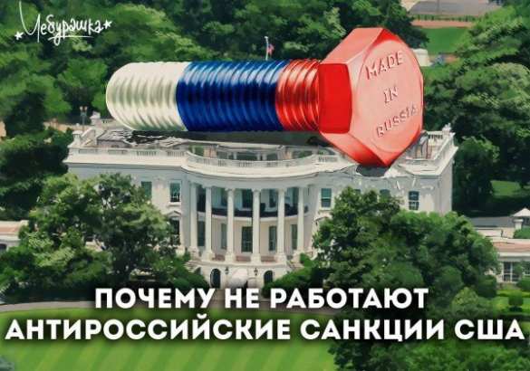 Желание «наказать Россию» ударило по Вашингтону, — минфин США  | Русская весна