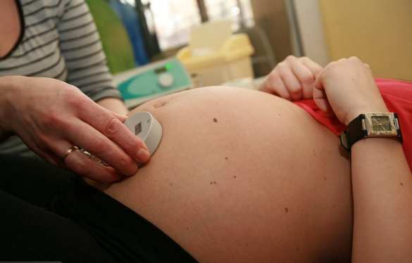 Неожиданные результаты сравнения мозга рожавших и нерожавших женщин | Русская весна