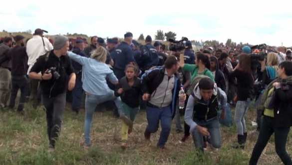 Сирийский беженец не простил журналистку, поставившую ему подножку (ВИДЕО) | Русская весна