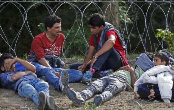 Der Spiegel: Абсурдное шоу с пограничным контролем в Германии | Русская весна