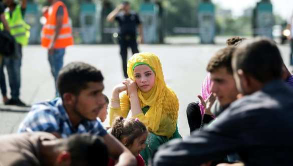 Власти попросили бельгийцев «не подкармливать» беженцев | Русская весна