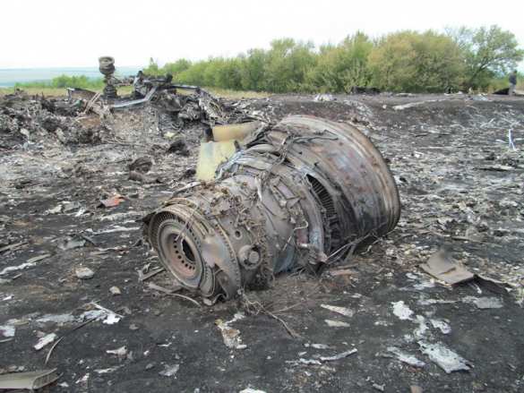 ДНР передаст обломки «Боинга» голландским криминалистам после подтверждения их полномочий | Русская весна