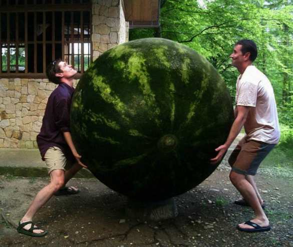 Врач рассказала, что делать при отравлении арбузом или дыней | Русская весна