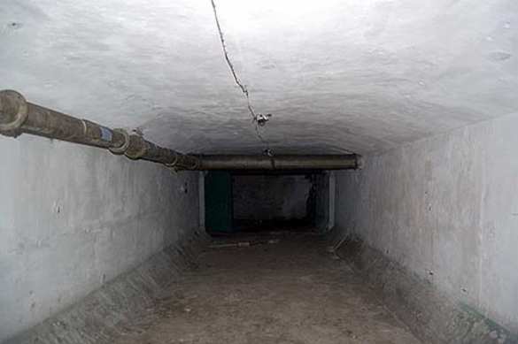 Япония собирается строить бомбоубежища | Русская весна