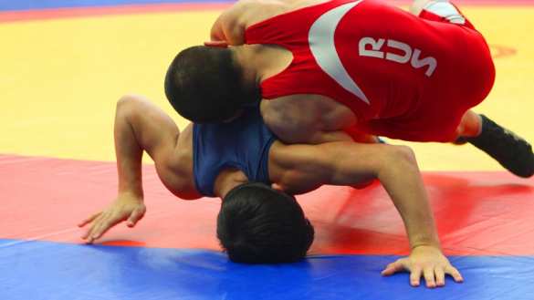 Поединок российского и грузинского борцов завершился массовой дракой (ВИДЕО) | Русская весна