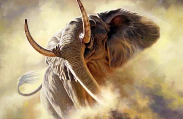 В Японии слон до смерти забил хоботом сотрудника зоопарка | Русская весна