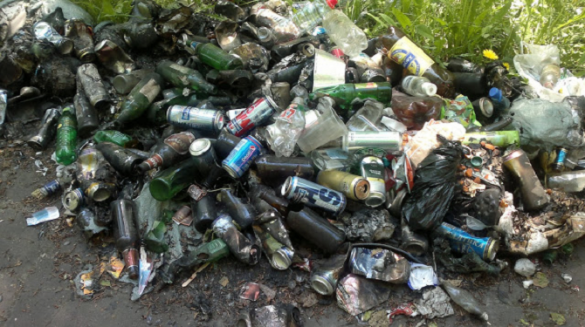 «Много бутылок»: президент Эстонии под дождём убирала мусор на Украине (ФОТО, ВИДЕО) | Русская весна