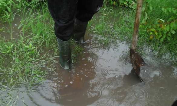 На Украине украли канализационные трубы: нечистоты заливают заповедник ЮНЕСКО (ВИДЕО) | Русская весна