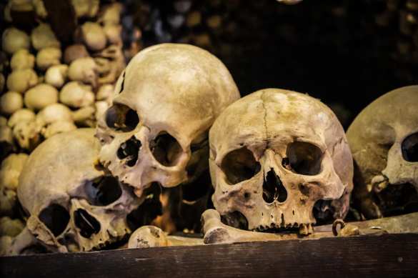 В Одессе нашли цистерну с человеческими скелетами | Русская весна