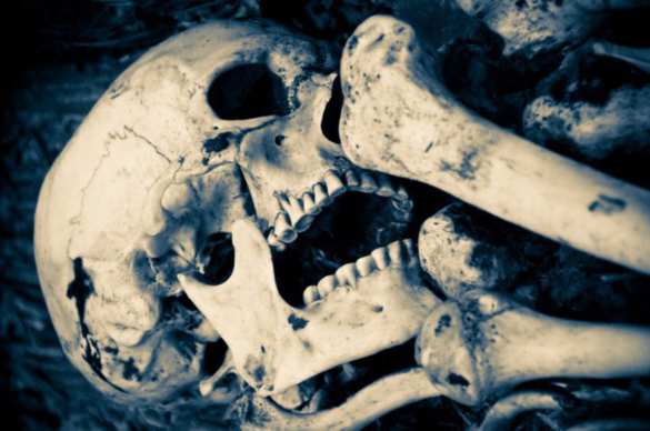 В пещере на севере Испании нашли самые древние останки человека в Европе, — Naked Science (ФОТО) | Русская весна