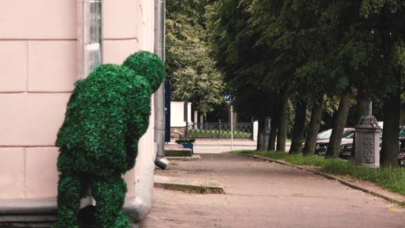 В Европе начали арестовывать гуляющие кусты и деревья (ФОТО, ВИДЕО) | Русская весна