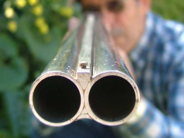 В Австрии пожилой нацист расстрелял соседей и убежал в лес (ФОТО) | Русская весна