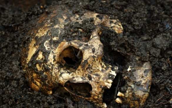 Учёные раскрыли загадку «человека-единорога» | Русская весна