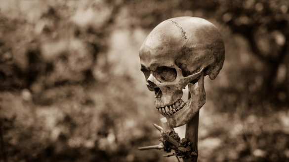 Смертельную инфекцию завезли в США в ароматических спреях | Русская весна