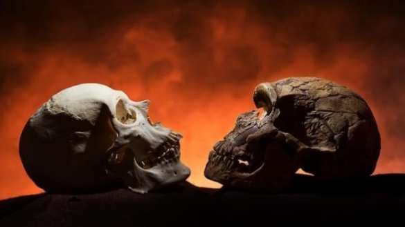 В Китае обнаружены останки неизвестного вида людей (ФОТО) | Русская весна