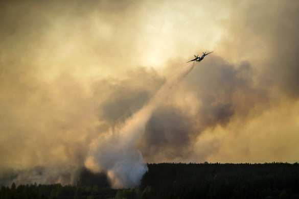 Пожар под Чернобылем тушат самолетами (ВИДЕО+ФОТО) | Русская весна