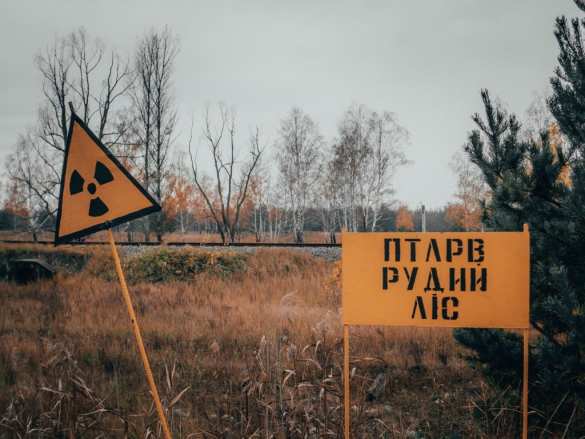 Группа украинцев набрала в Чернобыле 200 кг радиоактивной черники на продажу (ВИДЕО) | Русская весна