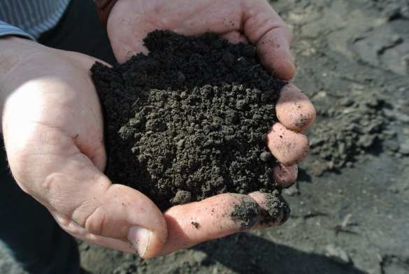 «Закончится земля — начнут продавать людей», — эксперт о перспективах Украины (ВИДЕО) | Русская весна