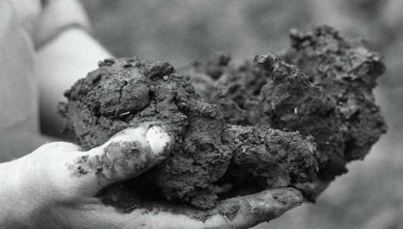 Украинские и иностранные компании, как фашисты, вывозят чернозем с Луганщины, — МЧС ЛНР | Русская весна