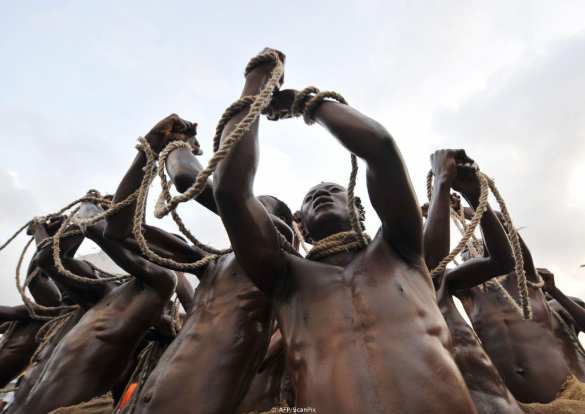 Генетики назвали страну, из которой в США вывезли больше всего рабов | Русская весна