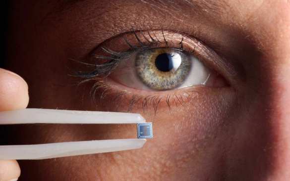 В России начнут научно-исследовательские работы по чипированию | Русская весна