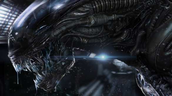 В Тихом океане выловили акулу, похожую на пришельца из «Чужого» (ФОТО) | Русская весна