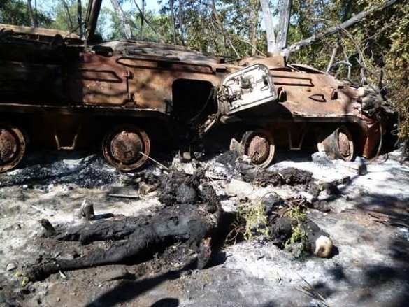 Фото сгоревших вместе с бронетехникой карателей из батальона "Айдар" (18+) | Русская весна