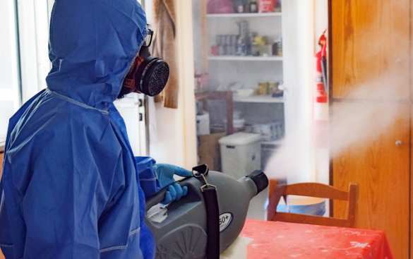 Новый вирус Марбург: ждать ли новой эпидемии, о которой так часто говорил Билл Гейтс? | Русская весна