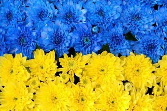 Украина теряет свой самый ценный ресурс | Русская весна