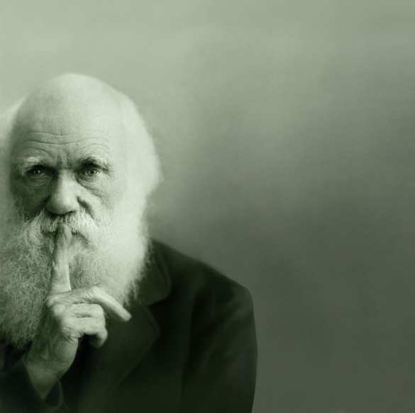 Ученые опровергли гипотезу об эволюции | Русская весна