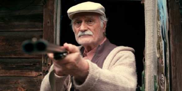 Открыл огонь из охотничьего ружья: На оккупированной Луганщине пенсионер дал отпор группе «ВСУшников» | Русская весна