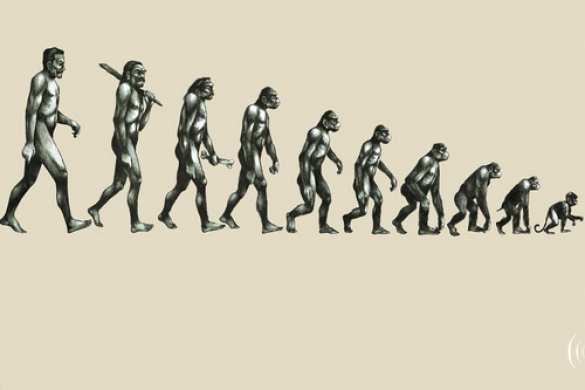 Похоронное бюро образования и науки: в Госдуме «оценили» эффективность работы чиновников из системы просвещения Похоронное бюро образования и науки: в Госдуме «оценили» эффективность работы чиновников из системы просвещения | Русская весна