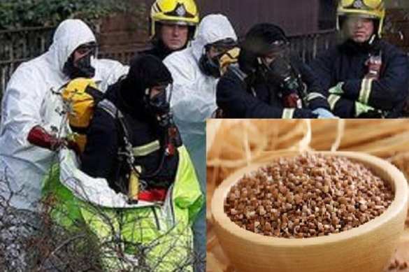 Дело Скрипалей: МИД Британии неожиданно опроверг антироссийскую ложь | Русская весна