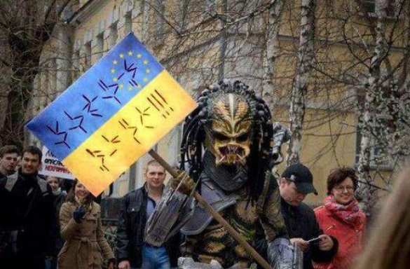 Майданная Украина: закон — тайга, прокурор — медведь | Русская весна