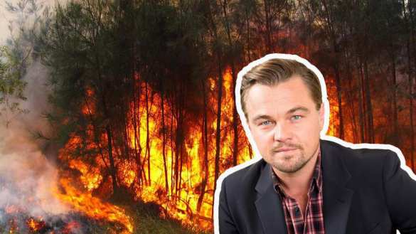 Президент Бразилии обвинил Ди Каприо в поджоге лесов Амазонии | Русская весна