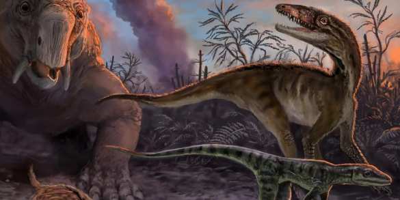 Смерть из Сибири: Названа причина самого массового вымирания на Земле | Русская весна