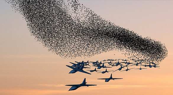 Северокорейский беспилотник вернулся в КНДР — провал ПВО Южной Кореи | Русская весна