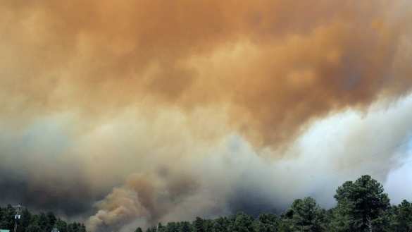 Дым от пожаров накрыл уже пять областей Украины | Русская весна