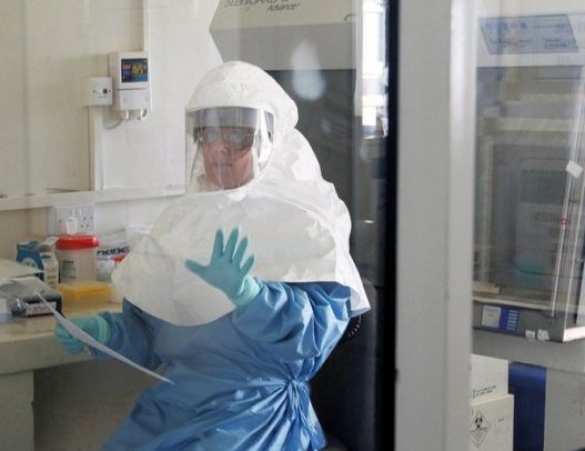 Вирус Эбола становится орудием спекуляций и шантажа в Чехии | Русская весна