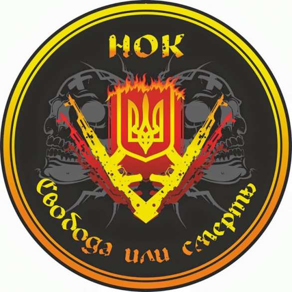 «Свобода или смерть!» — комбат «Киев-1» создает «национально-освободительный корпус» для наведения порядка на Украине | Русская весна