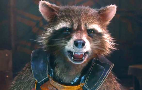 Боевых енотов готовят в зону АТО (ВИДЕО) | Русская весна