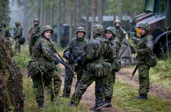 Эстония передаёт свою вновь созданную дивизию многонациональному корпусу Северо-Восток (ФОТО) | Русская весна