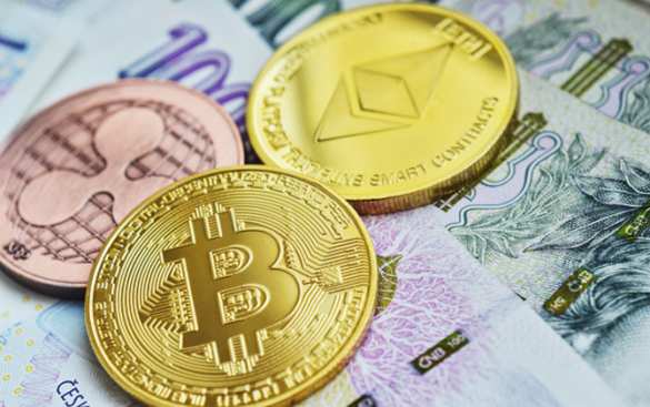 Какой альткоин выбрать: аналитики Trust in BTC оценивают самые перспективные криптовалюты | Русская весна