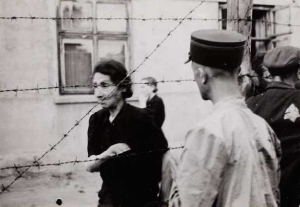 Причастные к одному из самых страшных преступлений внаглую пытаются переписать историю (ВИДЕО) | Русская весна