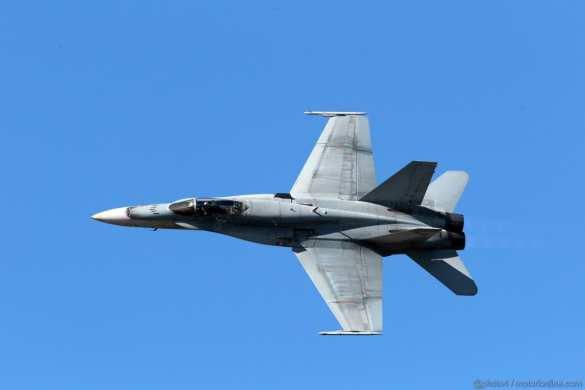 Испугались: Австралия приостанавливает нанесение авиаударов в Сирии | Русская весна